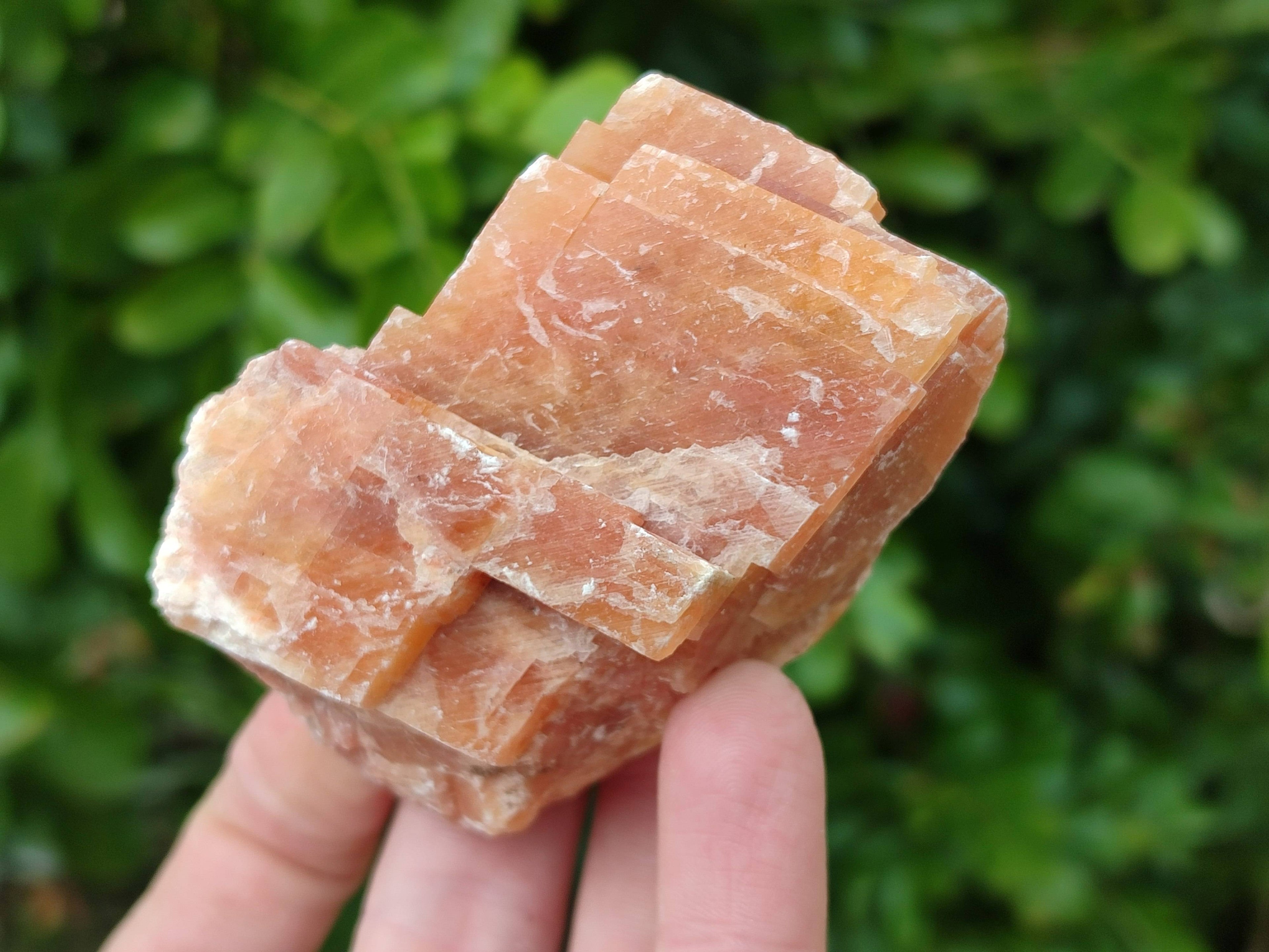 Natural Sunset Orange Calcite Specimens x 12 From Spitzkop, Namibia - Toprock Gemstones and Minerals 