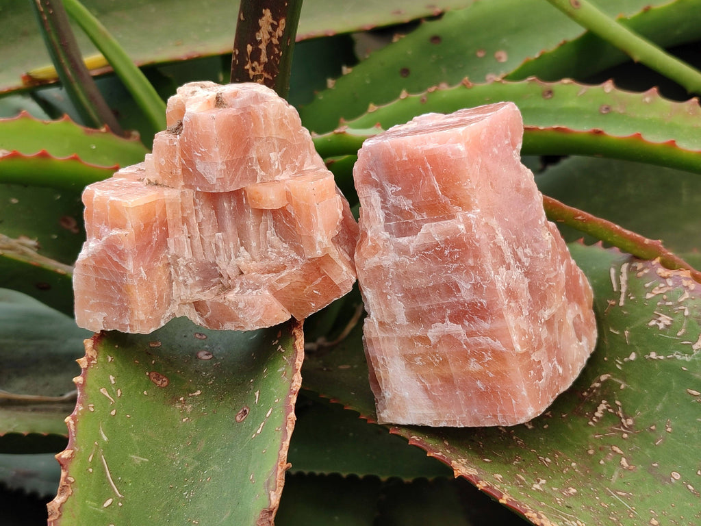 Natural Sunset Orange Calcite Specimens x 12 From Spitzkop, Namibia - Toprock Gemstones and Minerals 