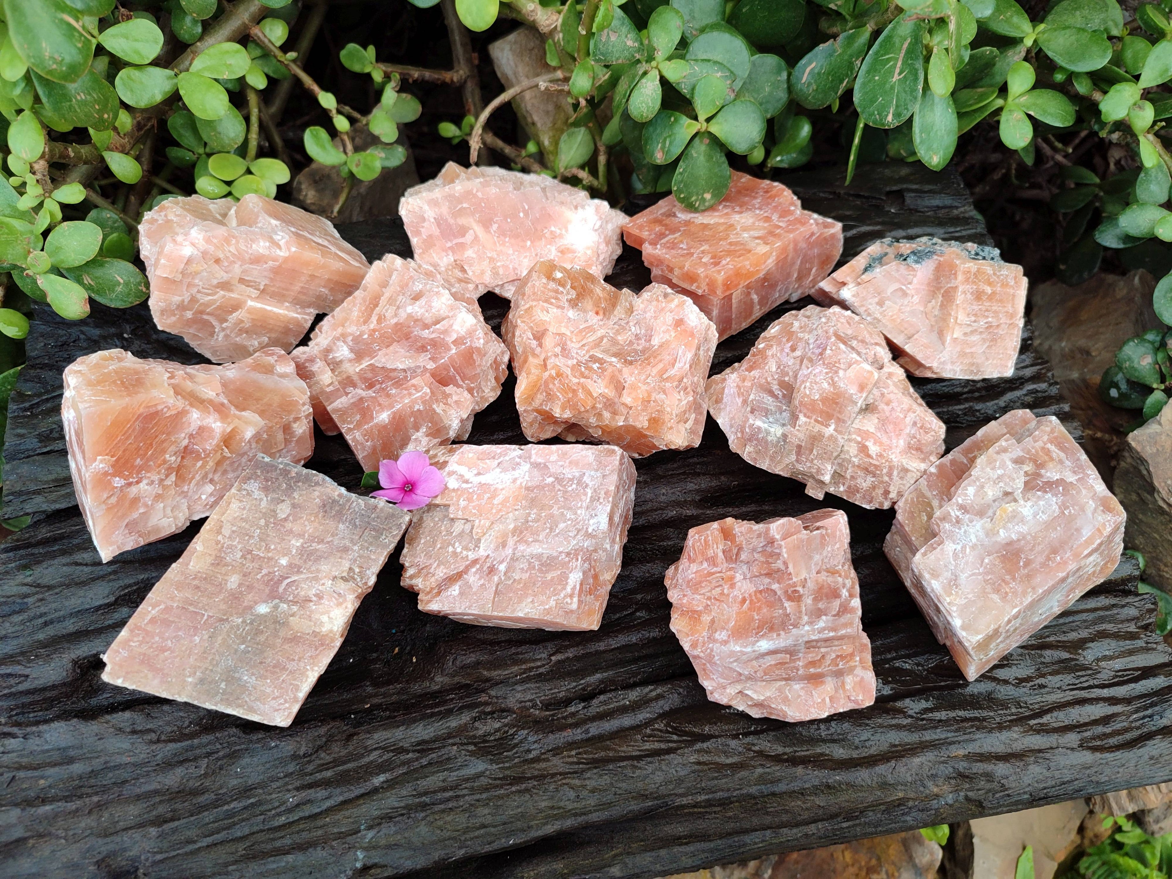 Natural Sunset Orange Calcite Specimens x 12 From Spitzkop, Namibia - Toprock Gemstones and Minerals 