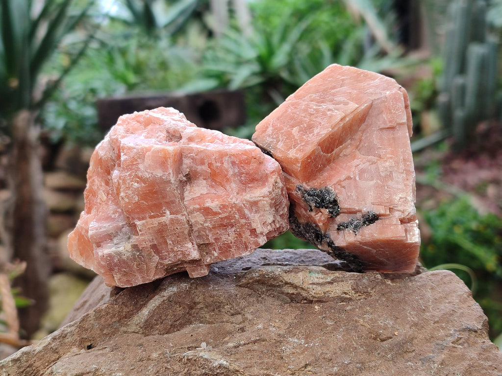 Natural Sunset Orange Calcite Specimens x 12 From Spitzkop, Namibia - Toprock Gemstones and Minerals 