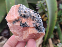 Natural Sunset Orange Calcite Specimens x 12 From Spitzkop, Namibia