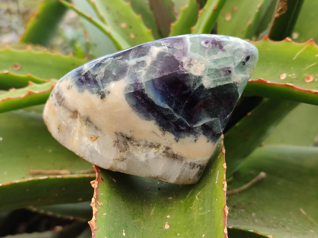 Polished Watermelon Fluorite Free Forms x 6 From Uis, Namibia - Toprock Gemstones and Minerals 