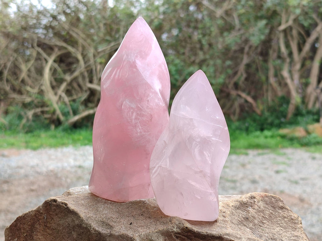 Polished Rose Quartz Flames x 2 Madagascar - Toprock Gemstones and Minerals 
