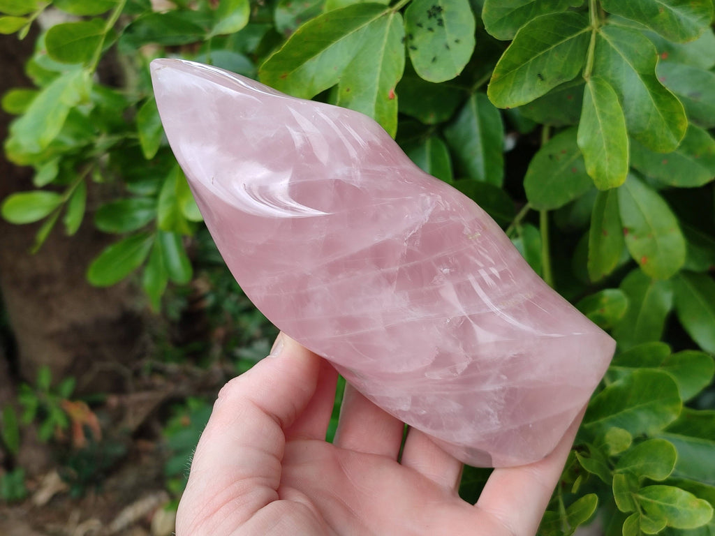 Polished Rose Quartz Flames x 2 Madagascar - Toprock Gemstones and Minerals 