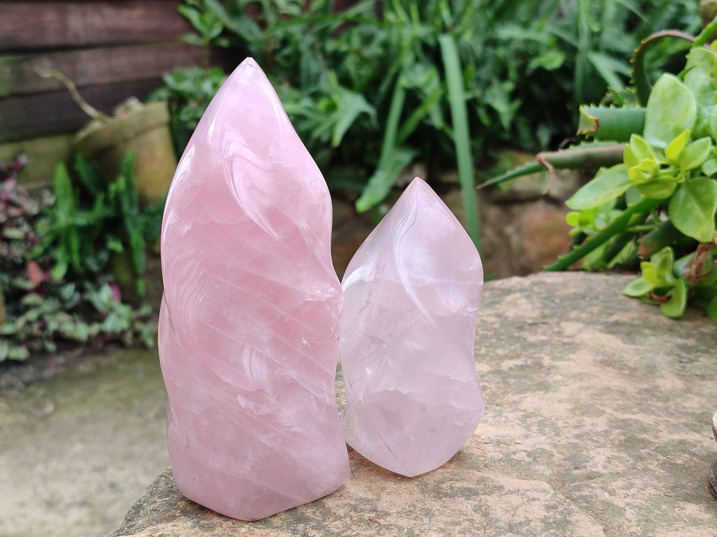 Polished Rose Quartz Flames x 2 Madagascar - Toprock Gemstones and Minerals 
