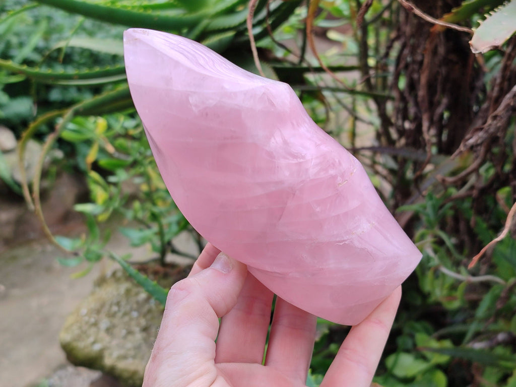 Polished Rose Quartz Flames x 2 Madagascar - Toprock Gemstones and Minerals 