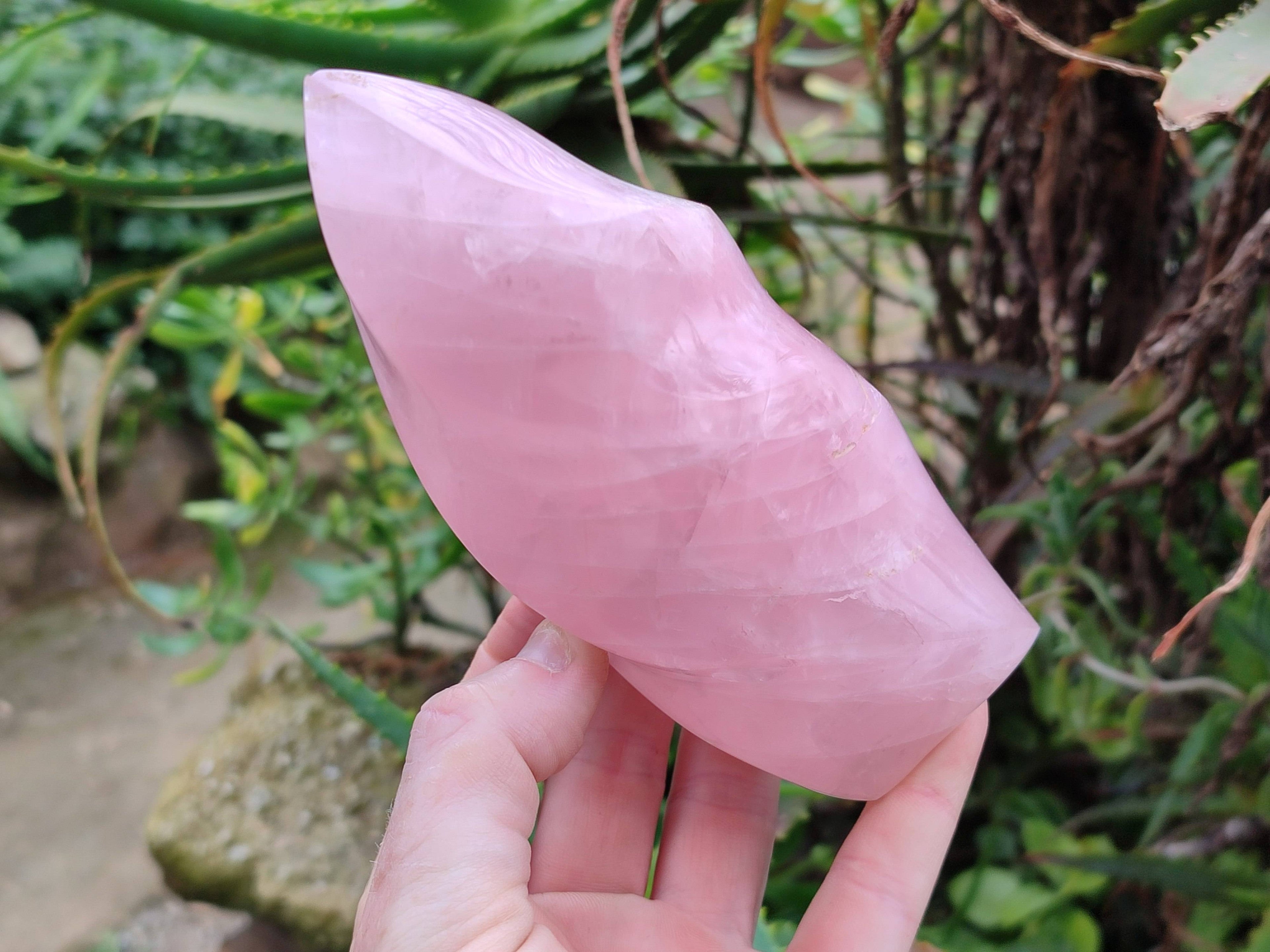 Polished Rose Quartz Flames x 2 Madagascar - Toprock Gemstones and Minerals 