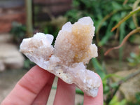 Natural Golden Limonite Coated Spirit Quartz Clusters x 12 From Boekenhouthoek, South Africa