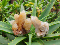 Natural Golden Limonite Coated Spirit Quartz Clusters x 12 From Boekenhouthoek, South Africa