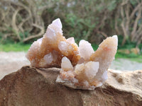 Natural Golden Limonite Coated Spirit Quartz Clusters x 12 From Boekenhouthoek, South Africa