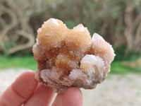 Natural Golden Limonite Coated Spirit Quartz Clusters x 12 From Boekenhouthoek, South Africa