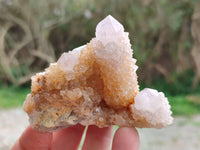 Natural Golden Limonite Coated Spirit Quartz Clusters x 12 From Boekenhouthoek, South Africa