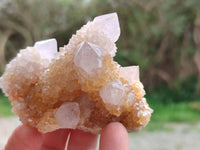 Natural Golden Limonite Coated Spirit Quartz Clusters x 12 From Boekenhouthoek, South Africa