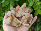 Natural Golden Limonite Coated Spirit Quartz Clusters x 12 From Boekenhouthoek, South Africa - Toprock Gemstones and Minerals 