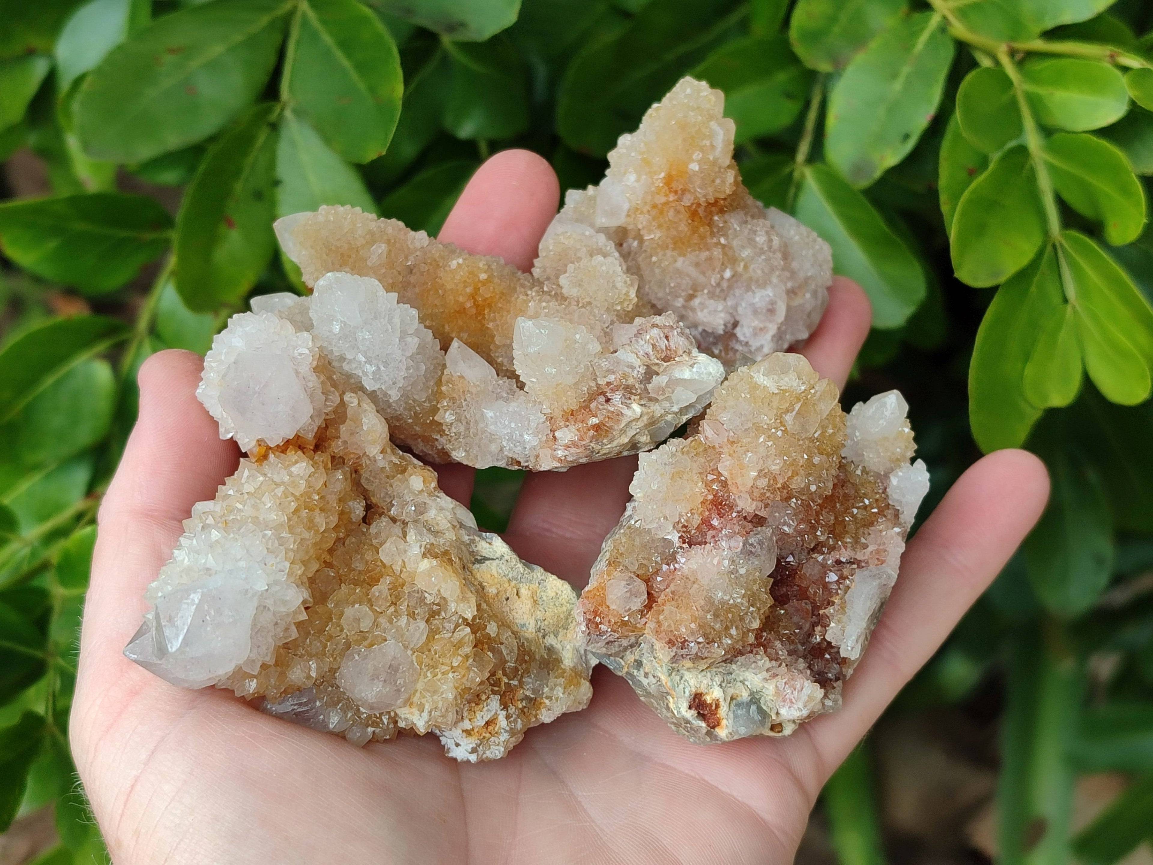 Natural Golden Limonite Coated Spirit Quartz Clusters x 12 From Boekenhouthoek, South Africa - Toprock Gemstones and Minerals 