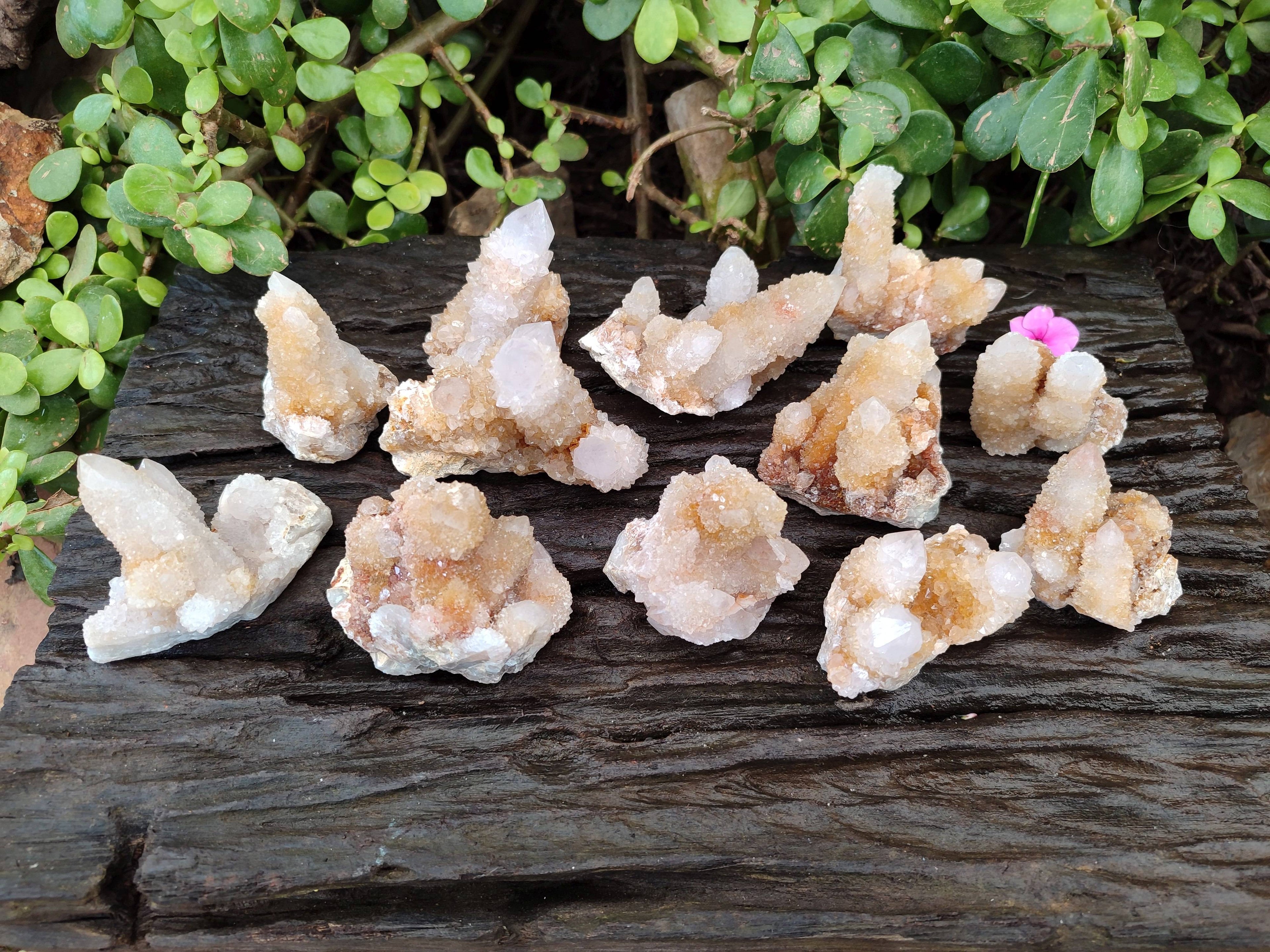 Natural Golden Limonite Coated Spirit Quartz Clusters x 12 From Boekenhouthoek, South Africa - Toprock Gemstones and Minerals 
