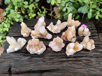 Natural Golden Limonite Coated Spirit Quartz Clusters x 12 From Boekenhouthoek, South Africa
