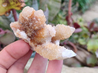 Natural Golden Limonite Coated Spirit Quartz Clusters x 12 From Boekenhouthoek, South Africa