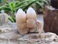 Natural Golden Limonite Coated Spirit Quartz Clusters x 12 From Boekenhouthoek, South Africa