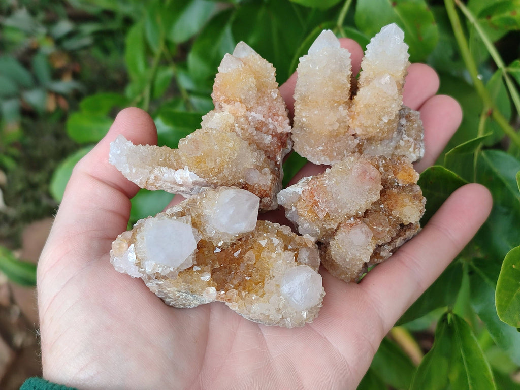 Natural Golden Limonite Coated Spirit Quartz Clusters x 12 From Boekenhouthoek, South Africa - Toprock Gemstones and Minerals 