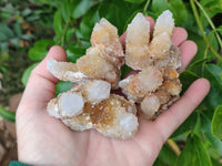 Natural Golden Limonite Coated Spirit Quartz Clusters x 12 From Boekenhouthoek, South Africa