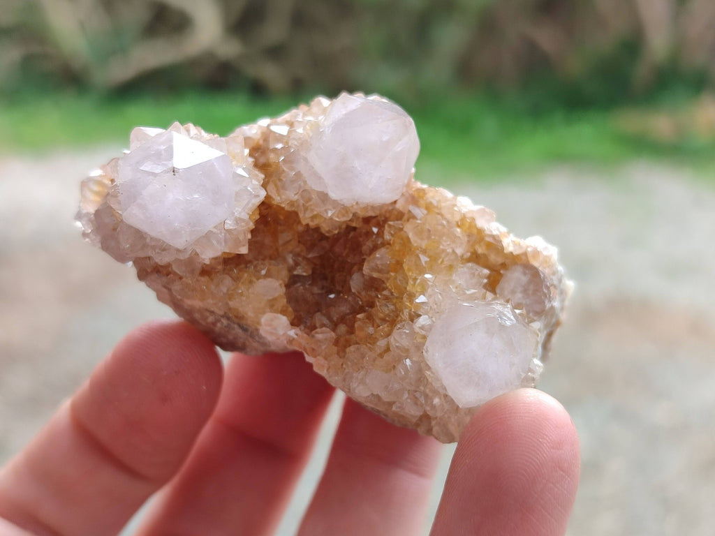 Natural Golden Limonite Coated Spirit Quartz Clusters x 12 From Boekenhouthoek, South Africa - Toprock Gemstones and Minerals 