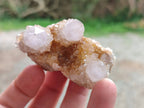 Natural Golden Limonite Coated Spirit Quartz Clusters x 12 From Boekenhouthoek, South Africa - Toprock Gemstones and Minerals 