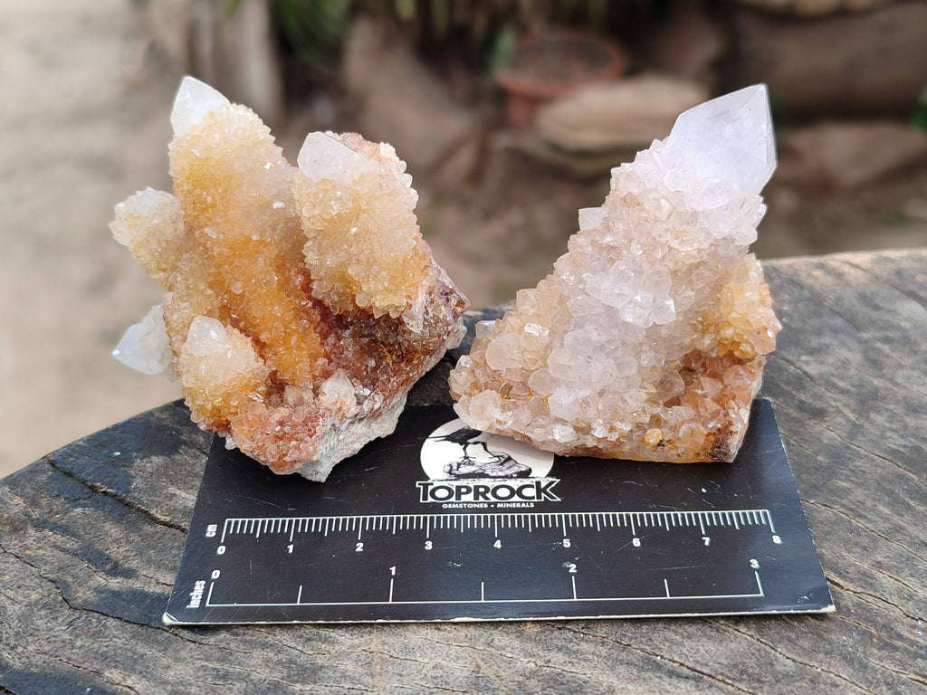 Natural Golden Limonite Coated Spirit Quartz Clusters x 12 From Boekenhouthoek, South Africa - Toprock Gemstones and Minerals 