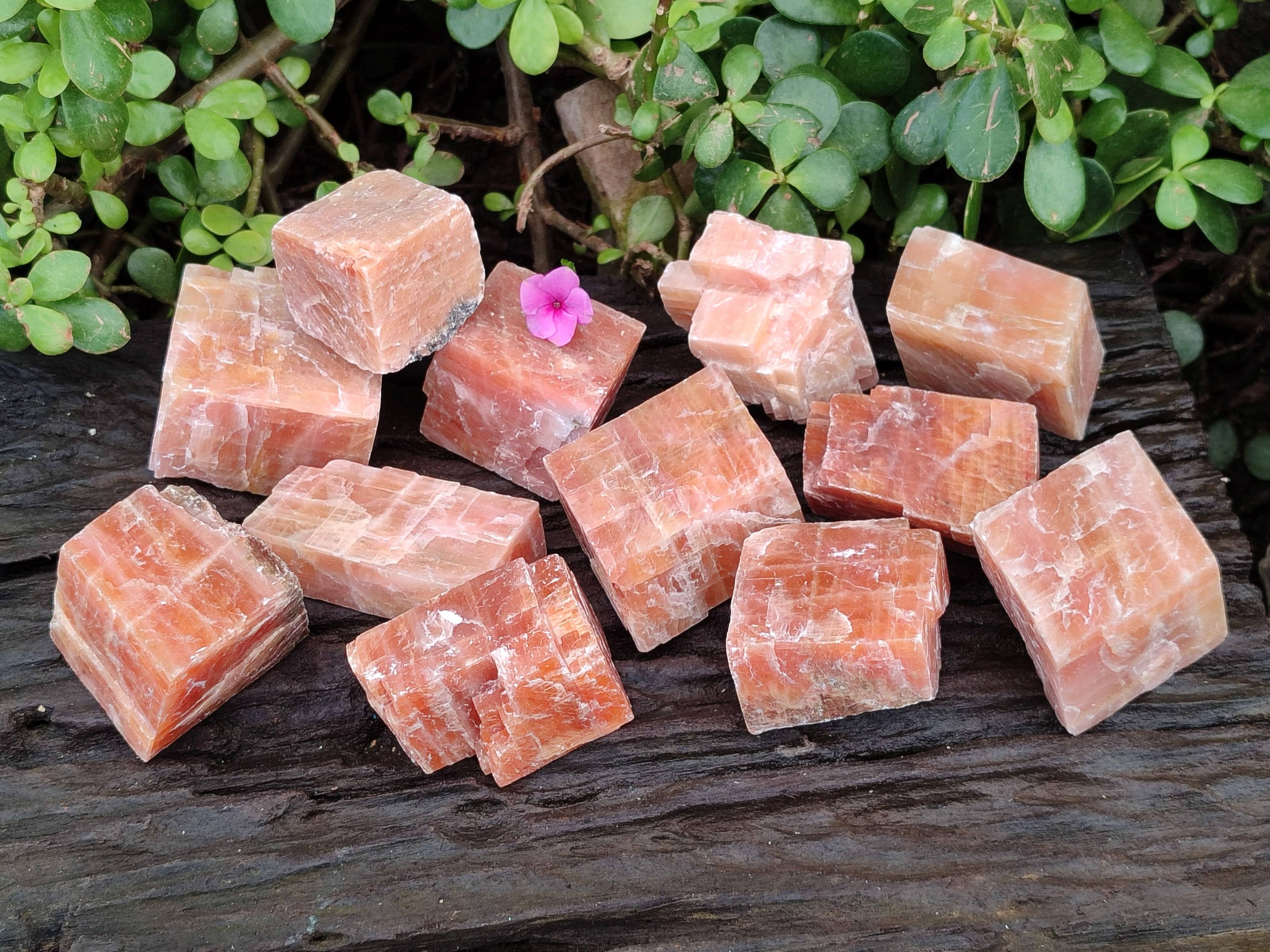 Natural Sunset Orange Calcite Specimens x 12 From Spitzkop, Namibia - Toprock Gemstones and Minerals 