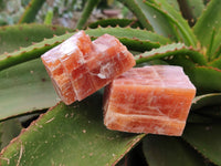 Natural Sunset Orange Calcite Specimens x 12 From Spitzkop, Namibia