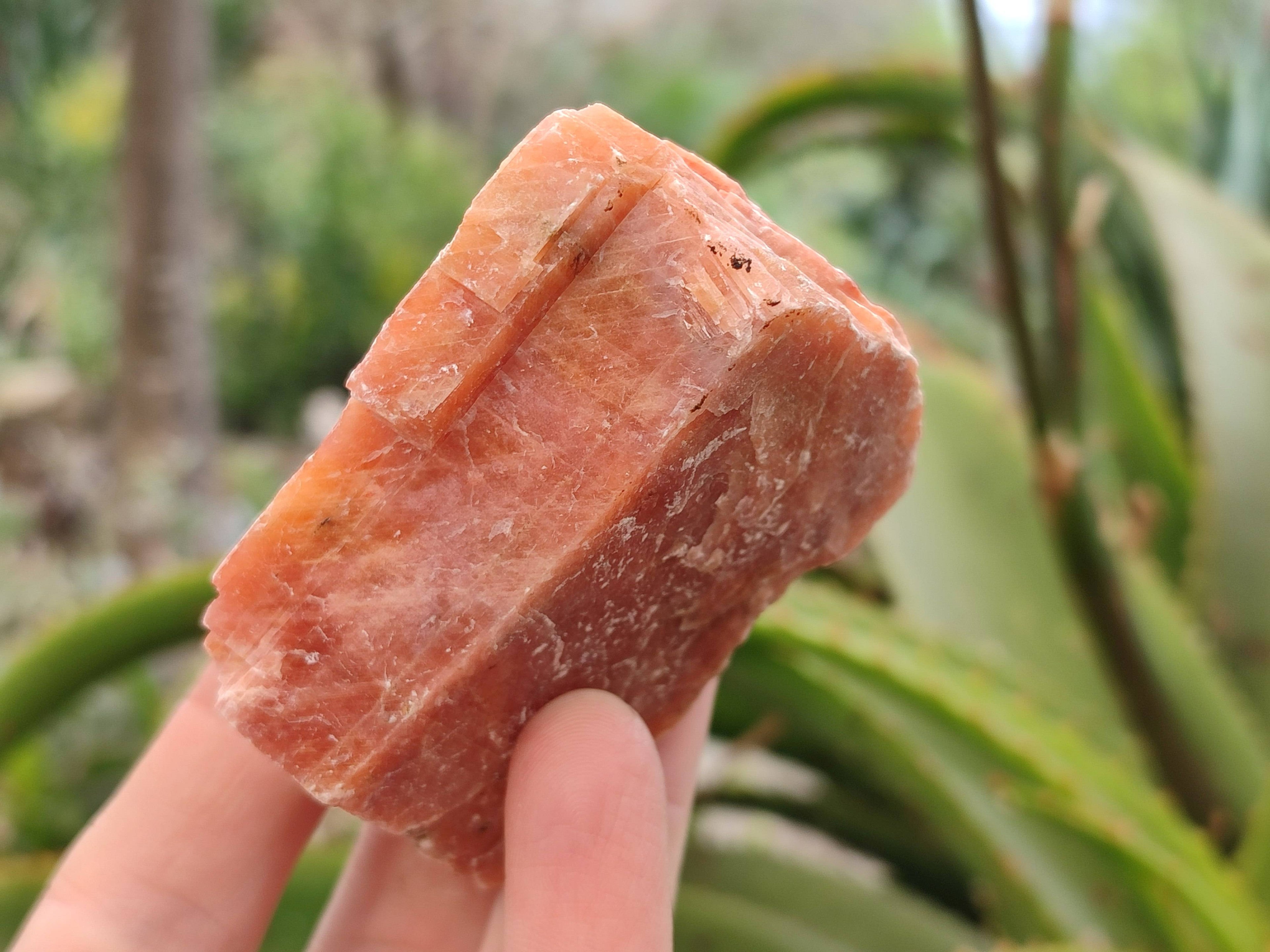 Natural Sunset Orange Calcite Specimens x 12 From Spitzkop, Namibia - Toprock Gemstones and Minerals 