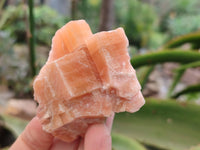 Natural Sunset Orange Calcite Specimens x 12 From Spitzkop, Namibia