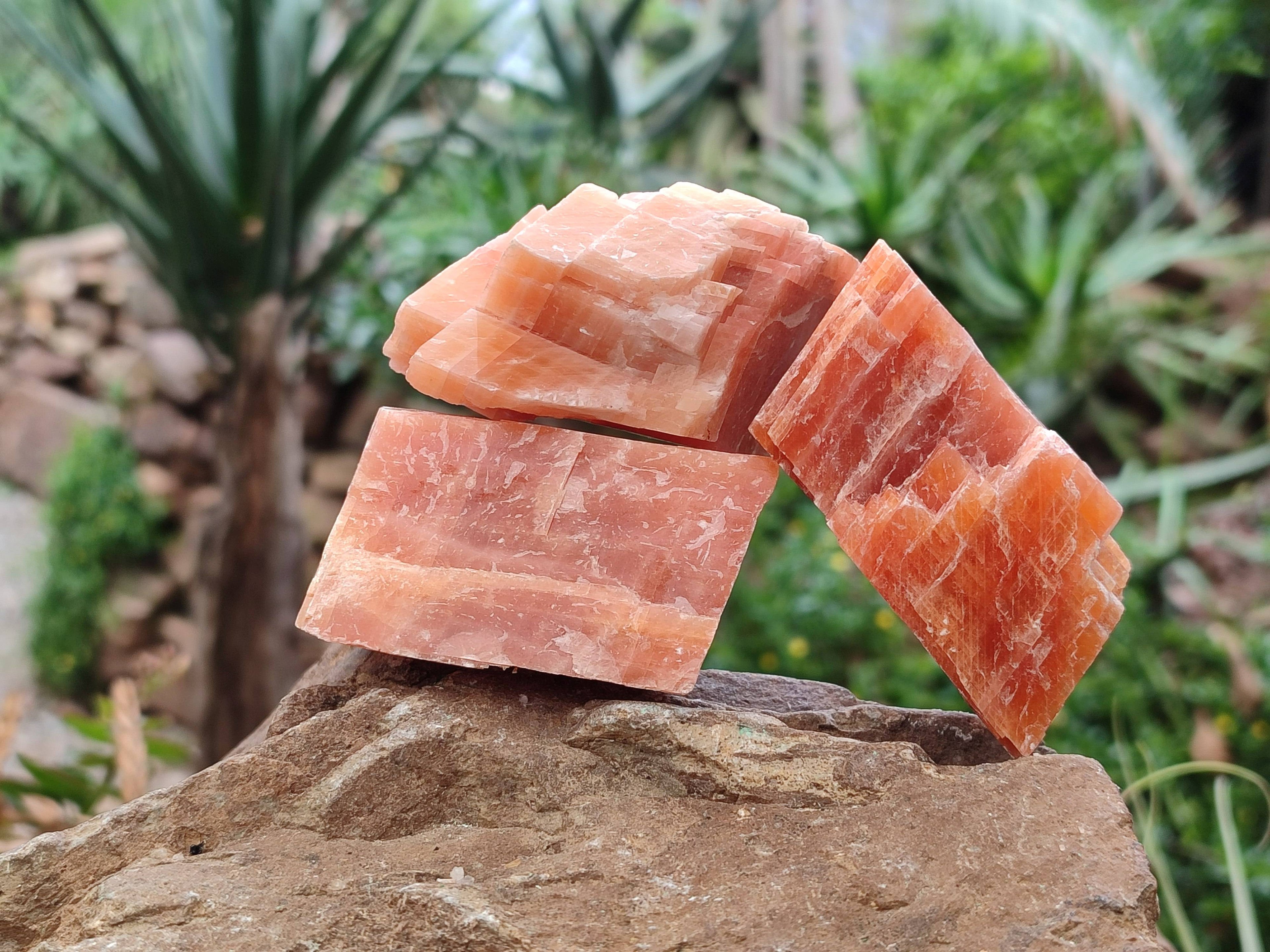 Natural Sunset Orange Calcite Specimens x 12 From Spitzkop, Namibia - Toprock Gemstones and Minerals 