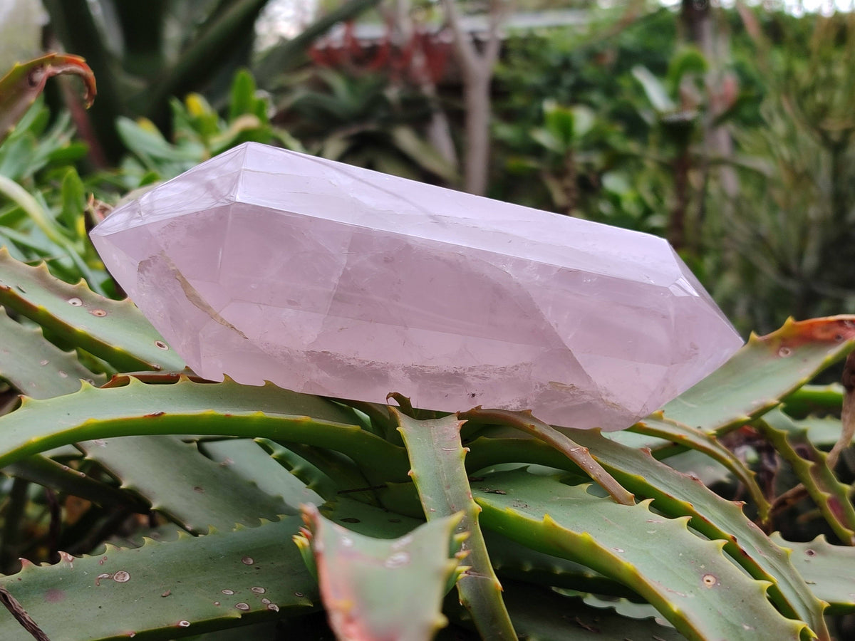 Polished Double Terminated Rose Quartz Points x 2 Madagascar - Toprock Gemstones and Minerals 
