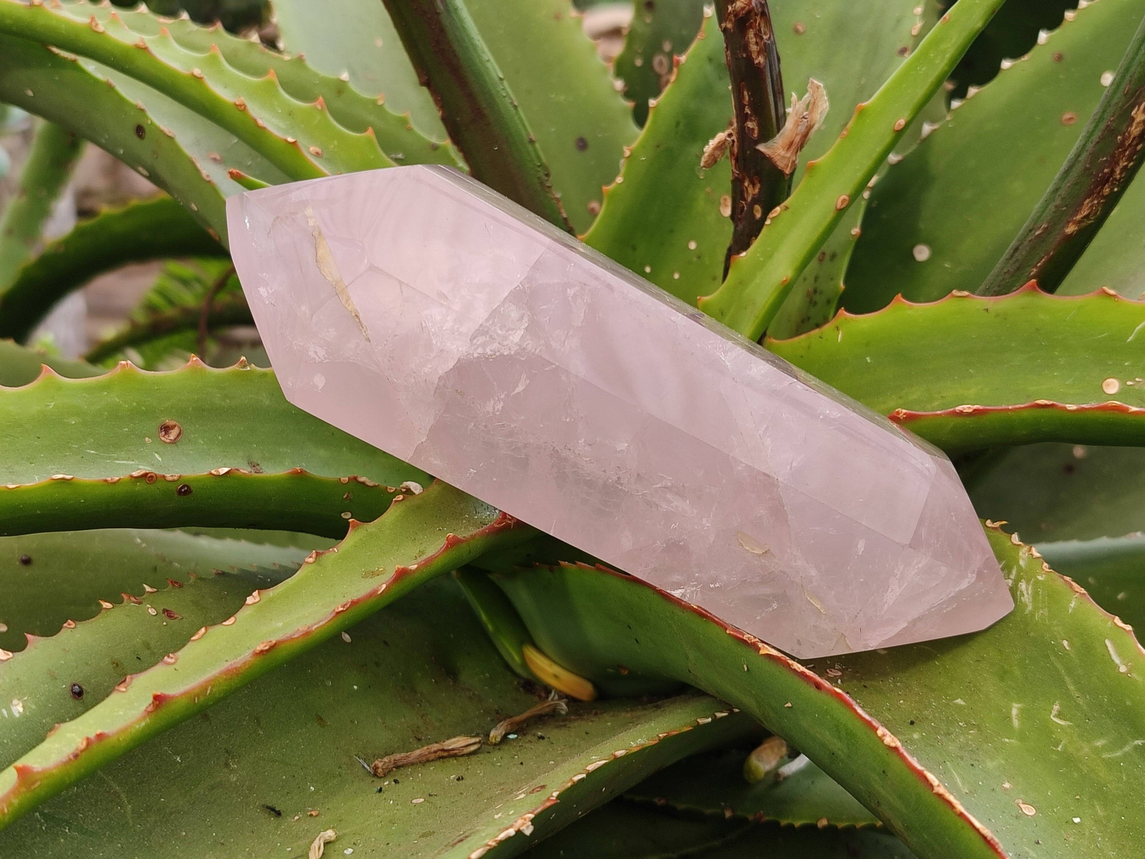 Polished Double Terminated Rose Quartz Points x 2 Madagascar - Toprock Gemstones and Minerals 