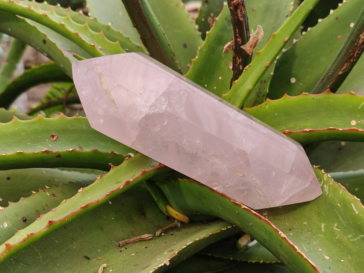 Polished Double Terminated Rose Quartz Points x 2 Madagascar - Toprock Gemstones and Minerals 