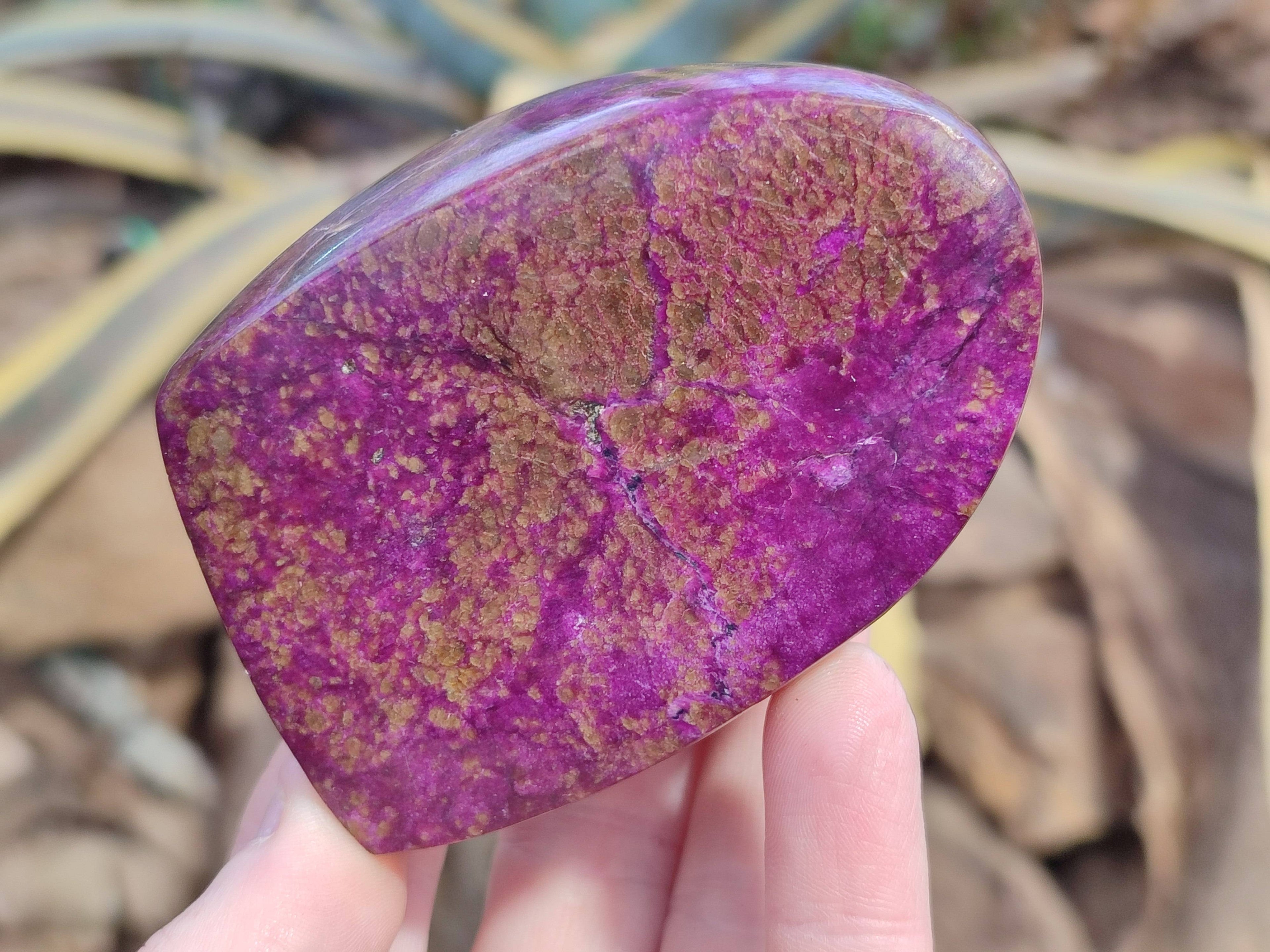 Polished Stichtite Free Forms x 6 From Barberton, South Africa - Toprock Gemstones and Minerals 