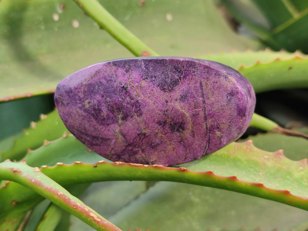 Polished Stichtite Free Forms x 6 From Barberton, South Africa - Toprock Gemstones and Minerals 
