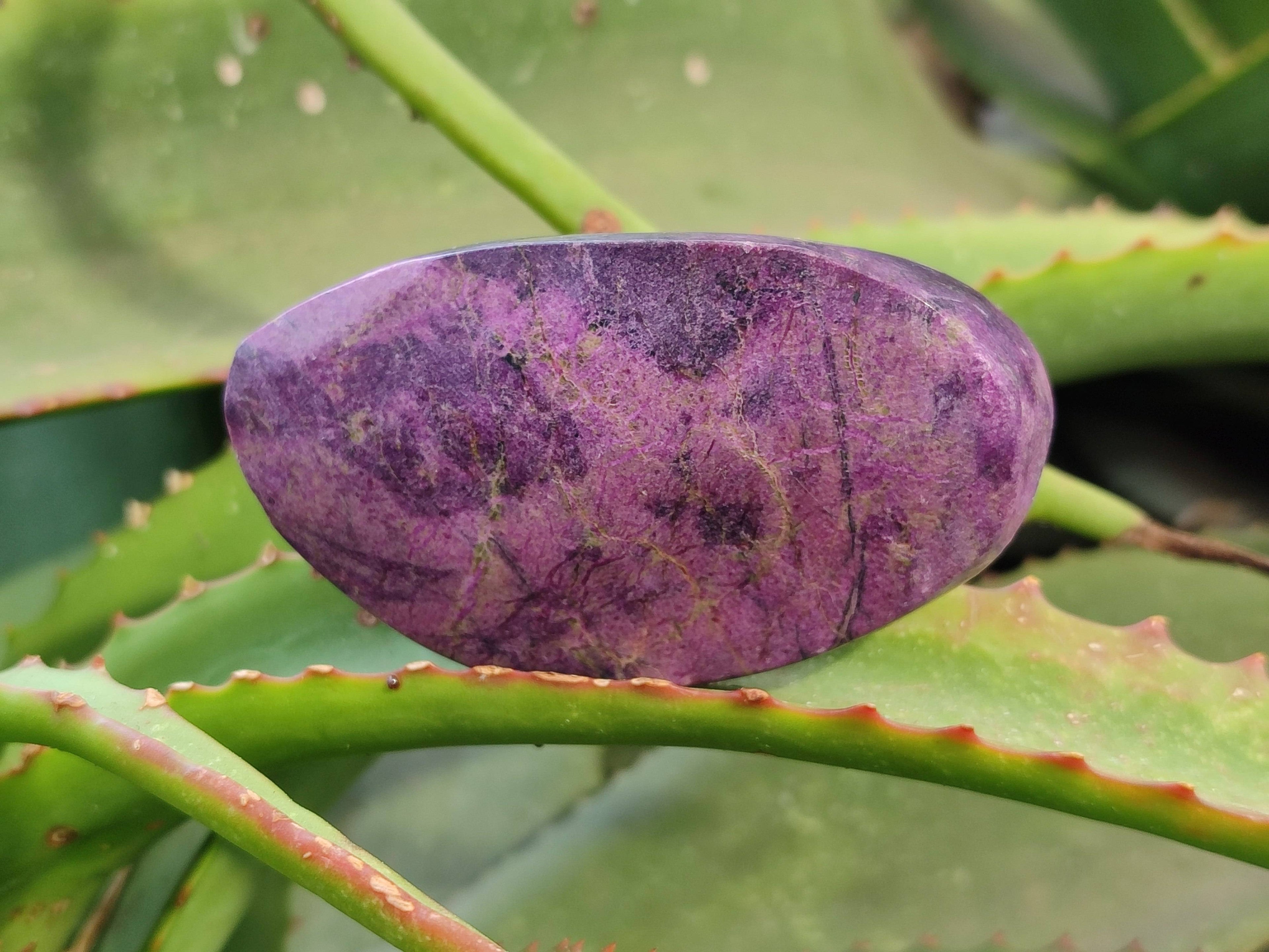 Polished Stichtite Free Forms x 6 From Barberton, South Africa - Toprock Gemstones and Minerals 