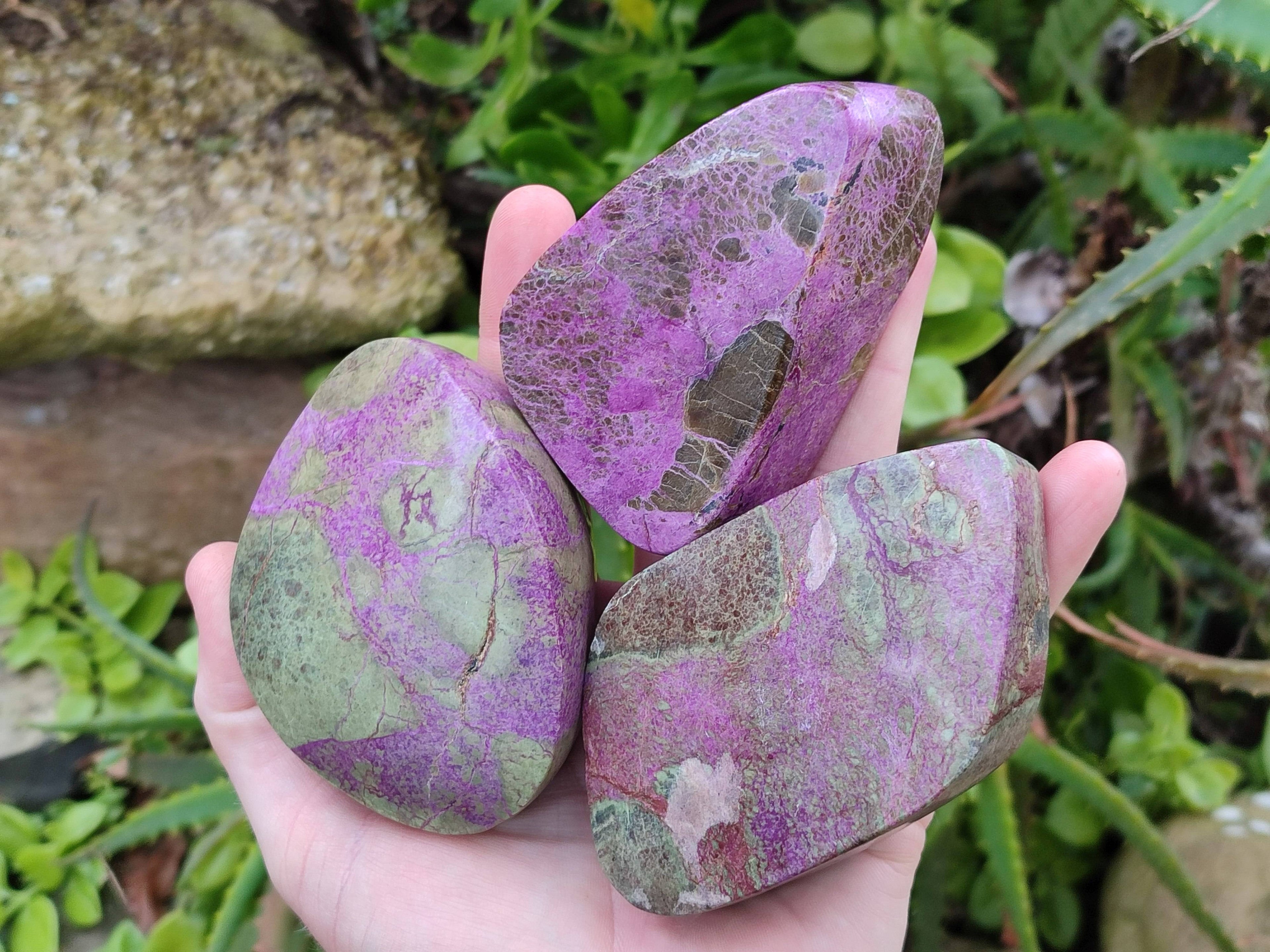 Polished Stichtite Free Forms x 6 From Barberton, South Africa - Toprock Gemstones and Minerals 
