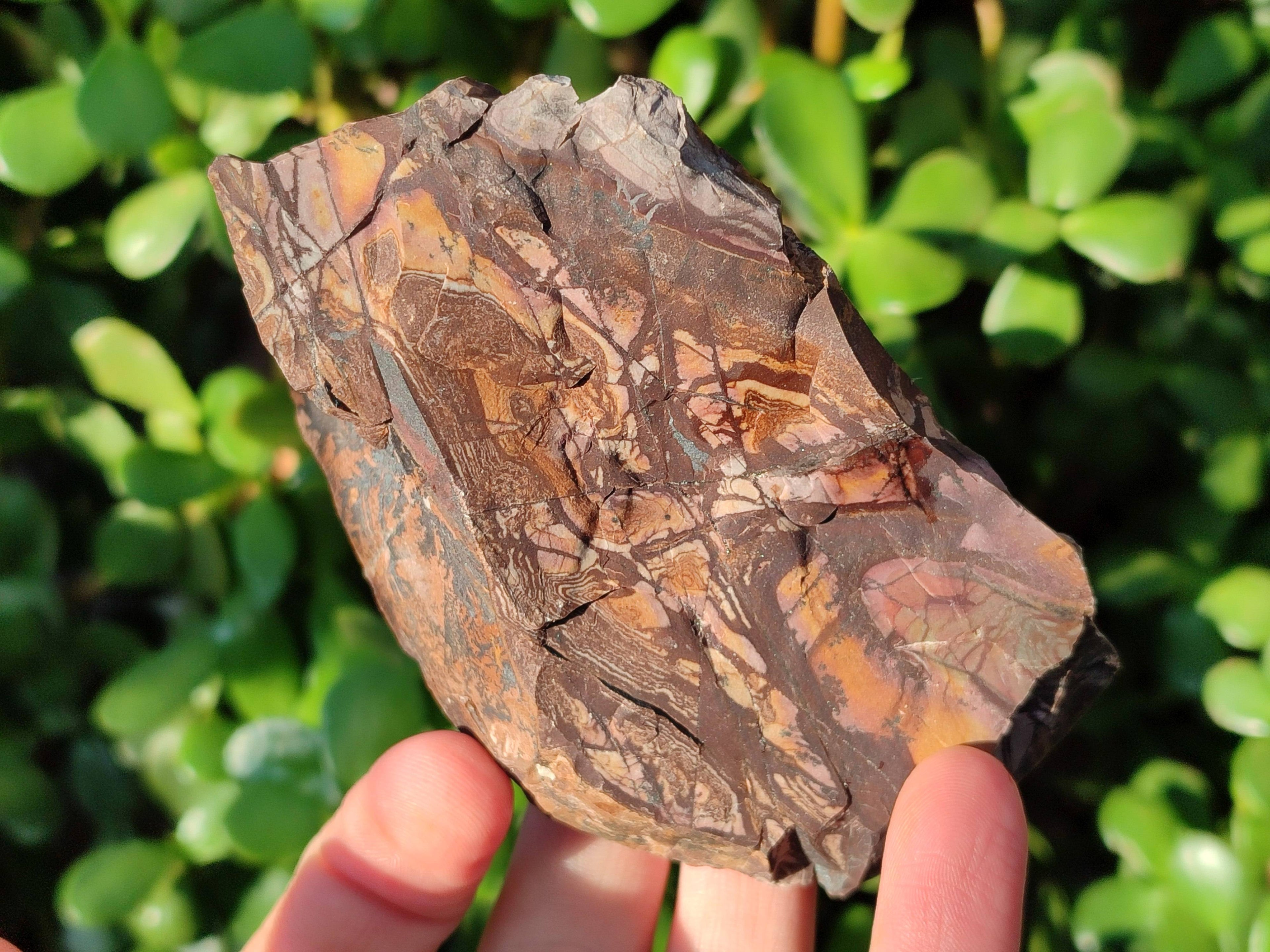 Natural Selected Nguni Jasper Cobbed Specimens x 12 From Prieska, South Africa - Toprock Gemstones and Minerals 