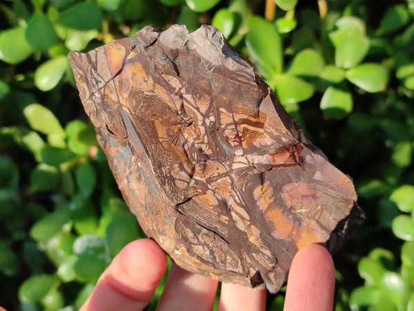 Natural Selected Nguni Jasper Cobbed Specimens x 12 From Prieska, South Africa