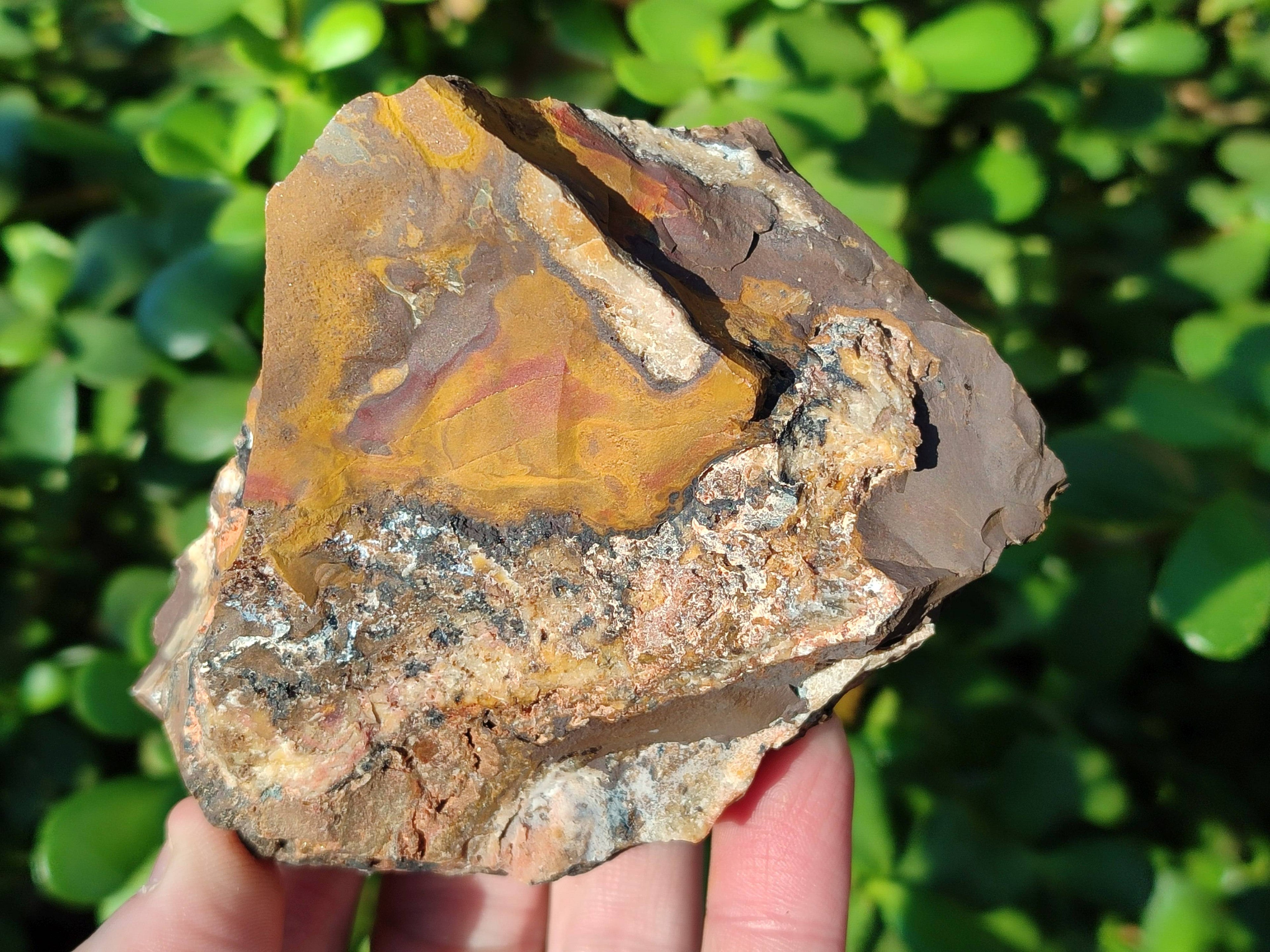 Natural Selected Nguni Jasper Cobbed Specimens x 12 From Prieska, South Africa - Toprock Gemstones and Minerals 