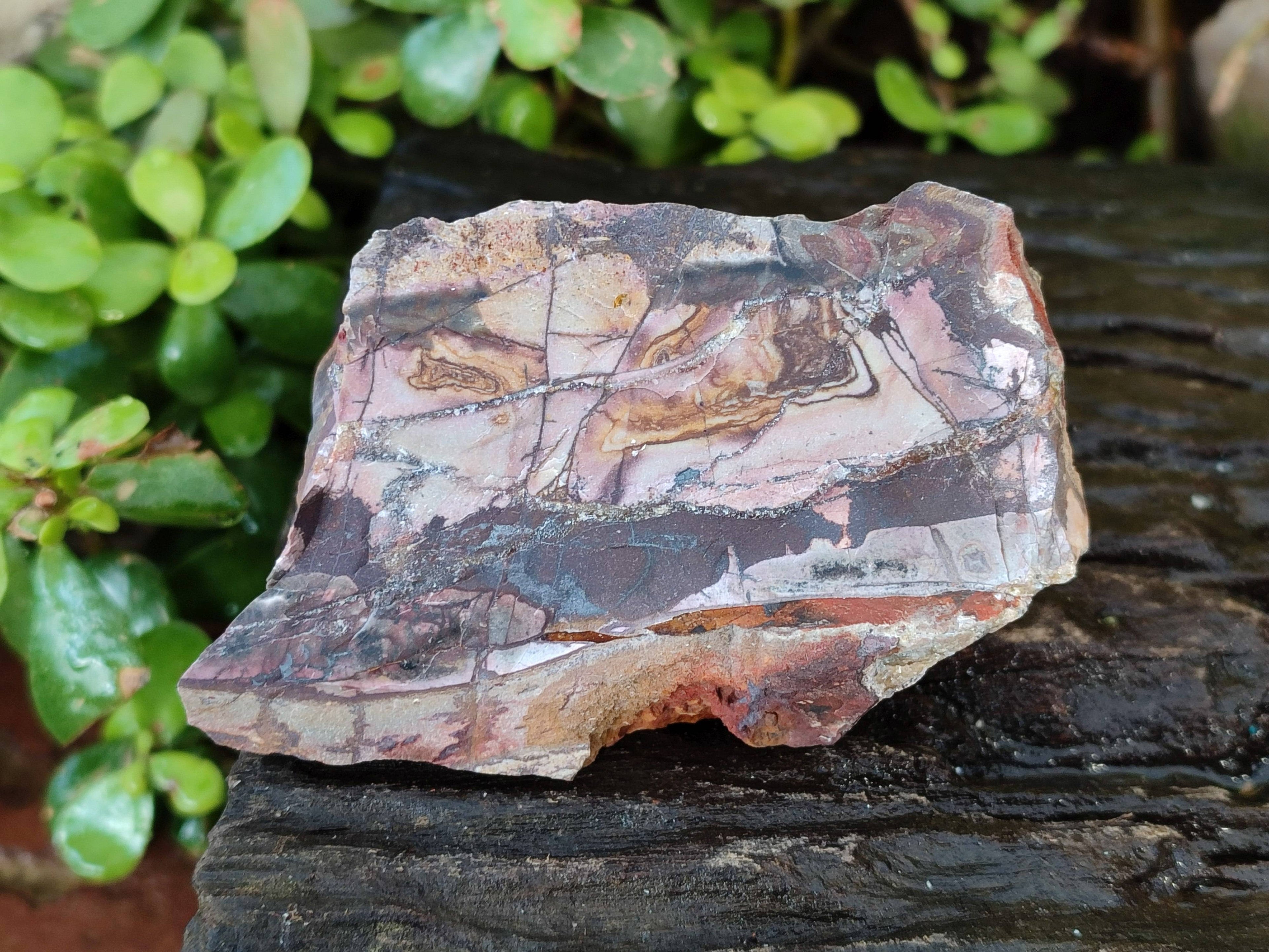 Natural Selected Nguni Jasper Cobbed Specimens x 12 From Prieska, South Africa - Toprock Gemstones and Minerals 