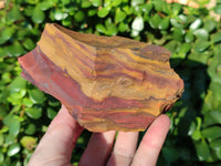 Natural Selected Nguni Jasper Cobbed Specimens x 12 From Prieska, South Africa