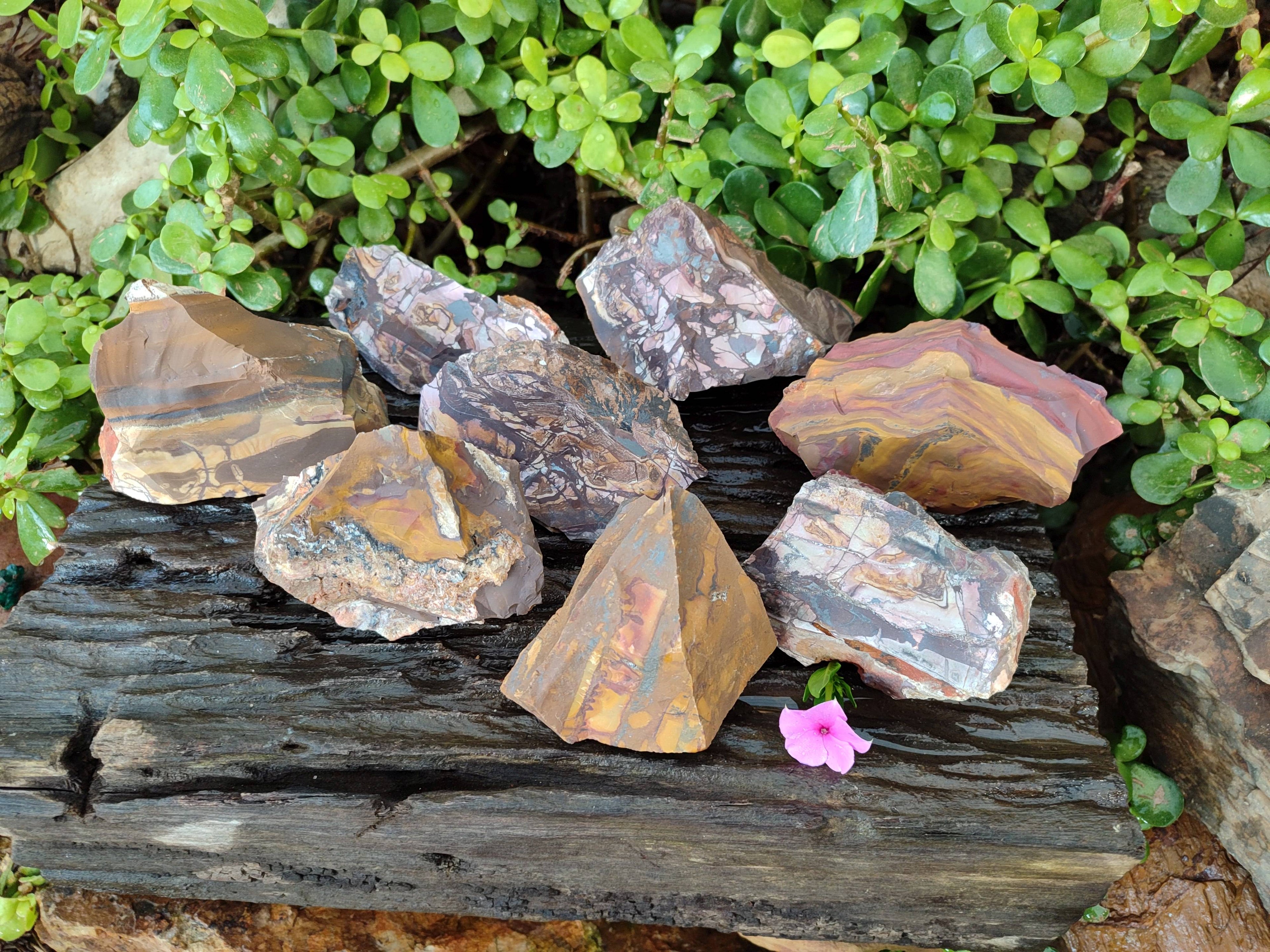 Natural Selected Nguni Jasper Cobbed Specimens x 12 From Prieska, South Africa - Toprock Gemstones and Minerals 