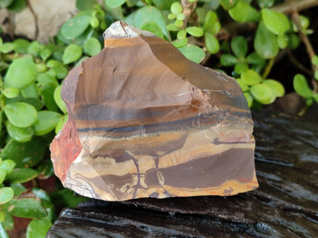 Natural Selected Nguni Jasper Cobbed Specimens x 12 From Prieska, South Africa - Toprock Gemstones and Minerals 