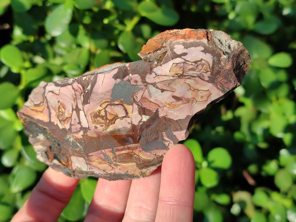 Natural Selected Nguni Jasper Cobbed Specimens x 12 From Prieska, South Africa - Toprock Gemstones and Minerals 