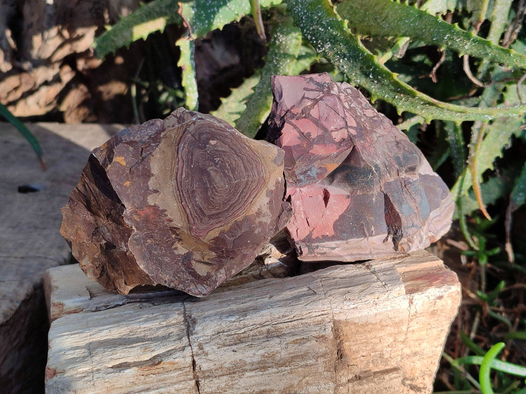 Natural Selected Nguni Jasper Cobbed Specimens x 12 From Prieska, South Africa - Toprock Gemstones and Minerals 
