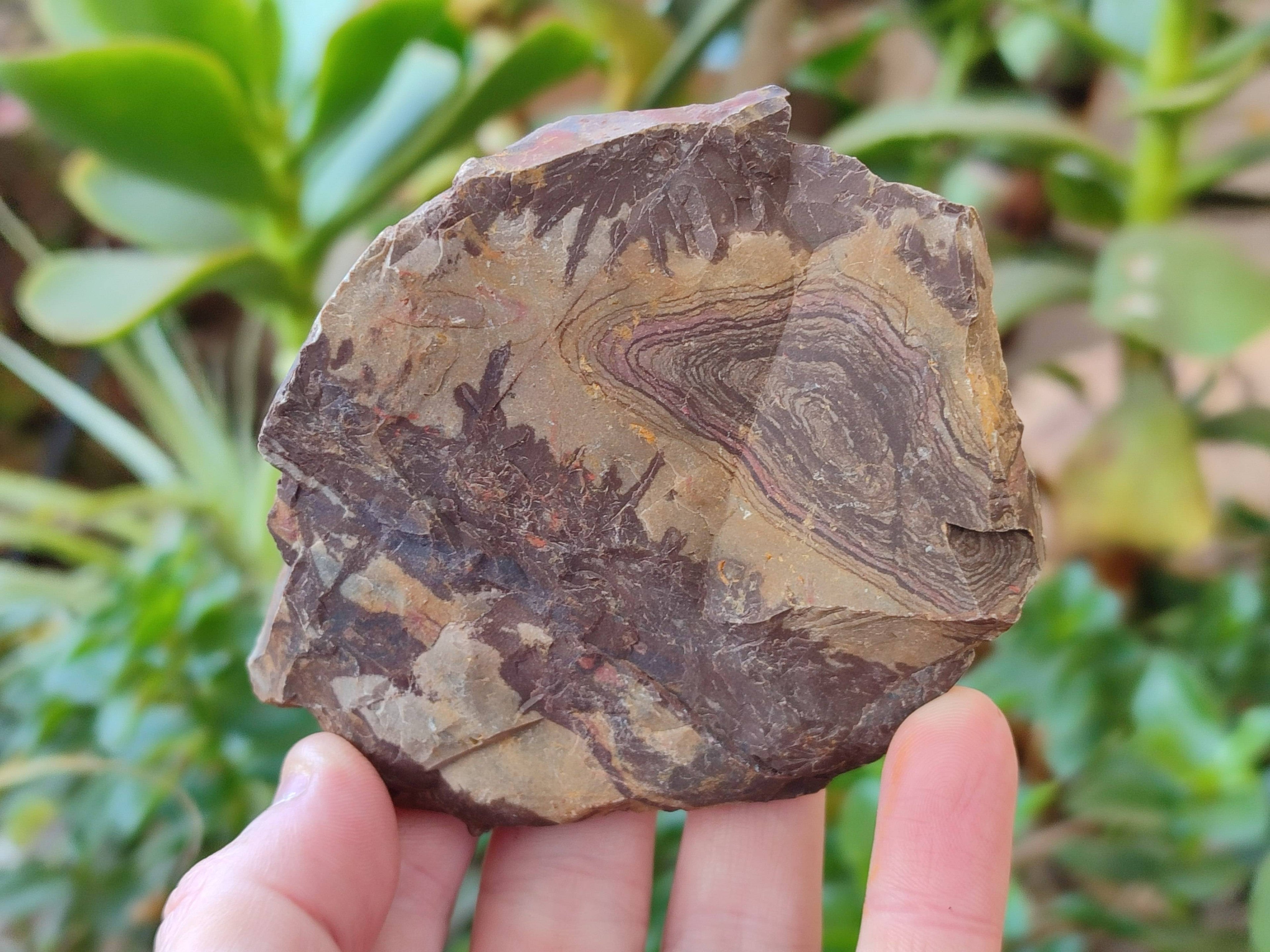 Natural Selected Nguni Jasper Cobbed Specimens x 12 From Prieska, South Africa - Toprock Gemstones and Minerals 